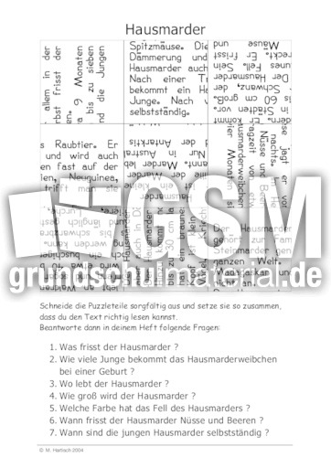 Hausmarder.pdf